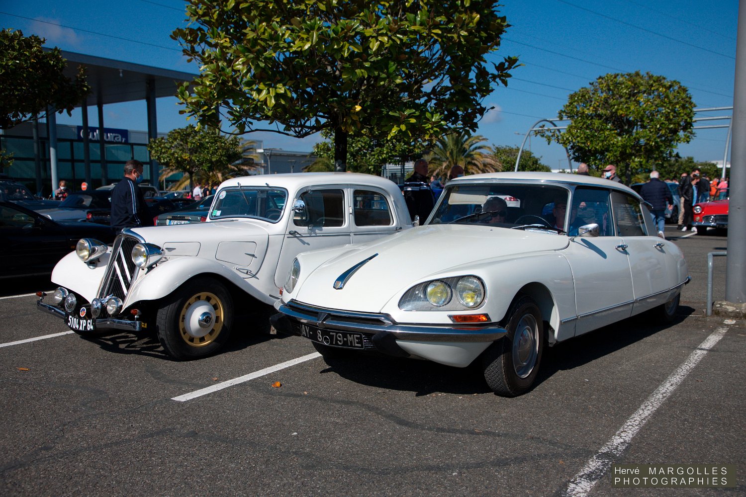 Citroen Traction et DS.jpg